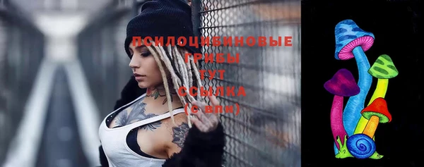 эйфоретик Абаза